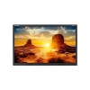 Promethean ActivPanel Touch 55 Inch  - 2 x Pens and Cable Pack included. Includes access to ActivInspire Professional Edition