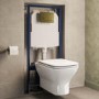 Palma Wall Hung Toilet 1160mm Pneumatic Frame & Cistern & Brushed Brass Flush Plate