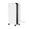electriQ 12L Slim premium Anti-bacterial Wall-mountable Dehumidifier-up to 3 Bed House