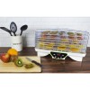 electriQ BPA Free Maxi Digital Food Dehydrator with 6 Collapsible Shelves