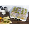 electriQ BPA Free Maxi Digital Food Dehydrator with 6 Collapsible Shelves