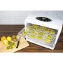 electriQ BPA Free Digital Food Dehydrator with Temperature Control and Timer