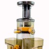 GRADE A2 - ElectriQ Premium Cold Pressed Vertical Slow Juicer and Smoothie Maker - BPA Free