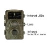 electriQ Outback 5 Megapixel HD Wildlife and Nature Trail Security Camera with 8GB SD Card