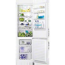 Zanussi ZRB38338WA Free-Standing Fridge Freezer in White