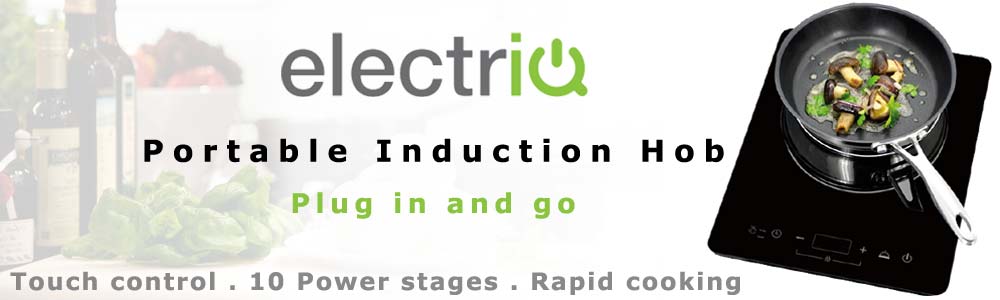 electriq_induction_plate