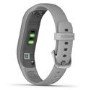 Garmin Vivosmart 4 Silver with Grey Band Small/Medium 