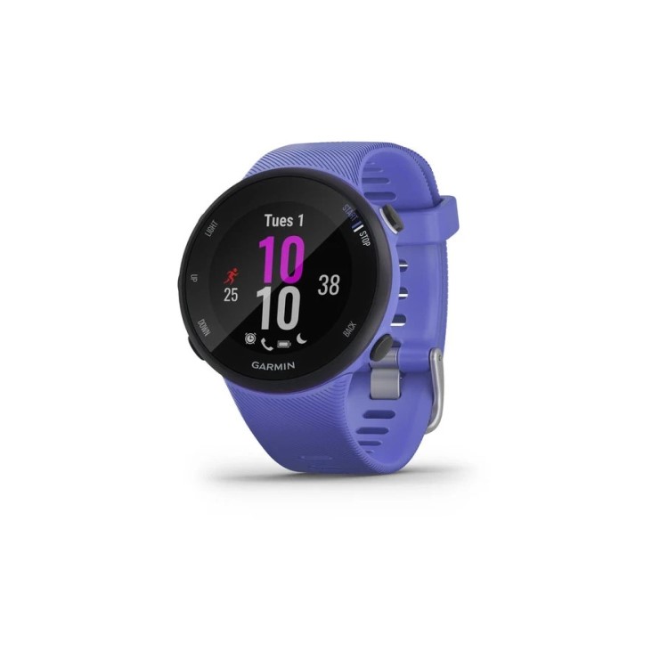 Garmin Forerunner 45S 39mm - Blue