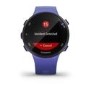 Garmin Forerunner 45S 39mm - Blue