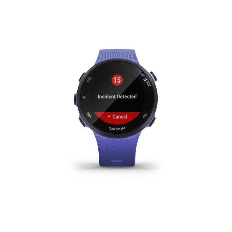 Garmin Forerunner 45S 39mm - Blue