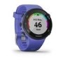 Garmin Forerunner 45S 39mm - Blue