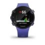 Garmin Forerunner 45S 39mm - Blue
