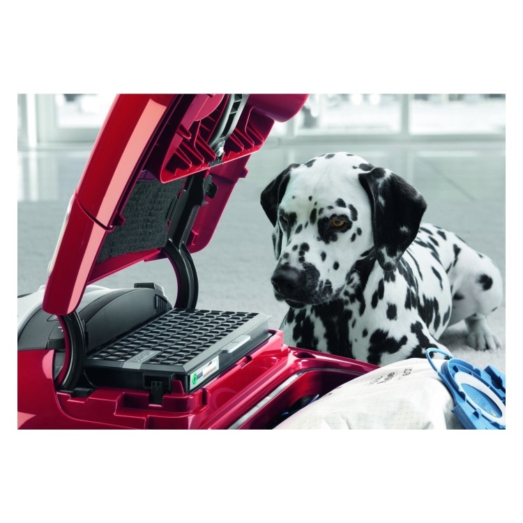 Miele 10365190 Complete C3 Cat & Dog Turbo Cylinder Vacuum Cleaner - Red