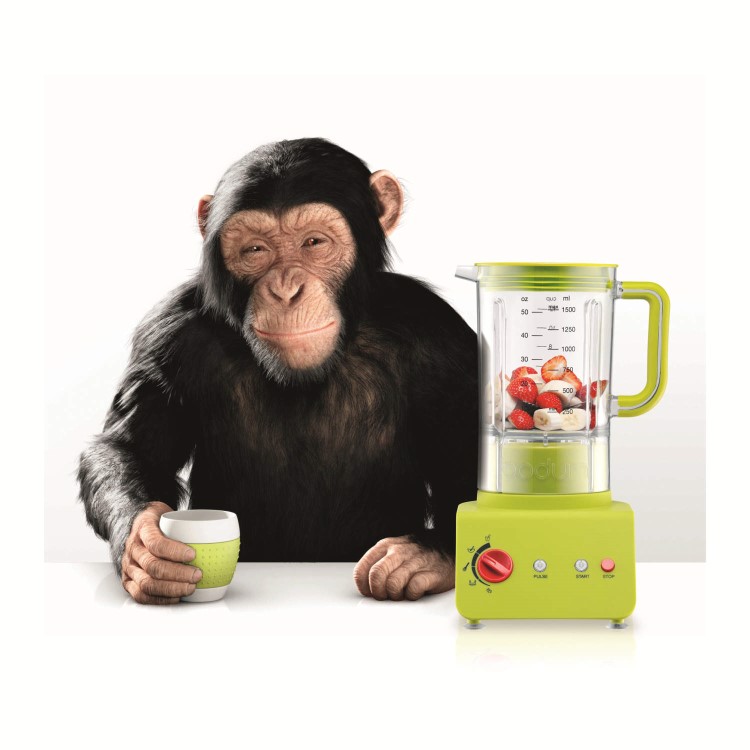 Bodum 11303-01UK Bistro 1.25L Blender - Black