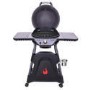 Char-Broil All-Star 125 - Single Burner Gas BBQ Grill with Cover