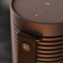 Bang & Olufsen Beosound Explore Chestnut Bluetooth Speaker