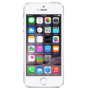 Grade A Apple iPhone 5s Silver 4" 32GB 4G Unlocked & SIM Free