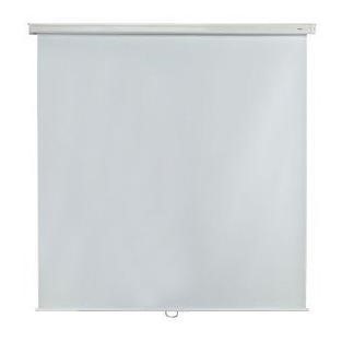 Metroplan Budget Manual Screen - projection screen