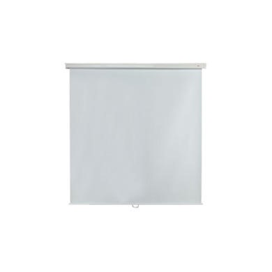 Metroplan Budget Manual Screen - projection screen