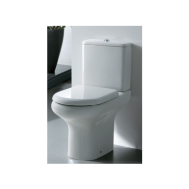 Raised button toilet