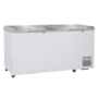 Steelmore BD-650 Chest Freezer with Double Stainless Steel Lids - 650 Ltr