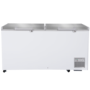 Steelmore BD-650 Chest Freezer with Double Stainless Steel Lids - 650 Ltr