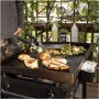 Blackstone 28 Inch 2 Burner Gas Plancha Griddle