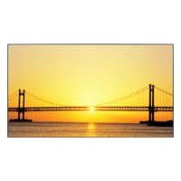 Samsung UD46C 46 Inch Full HD LED Display