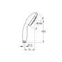 Grohe Tempesta 100 Shower Handset