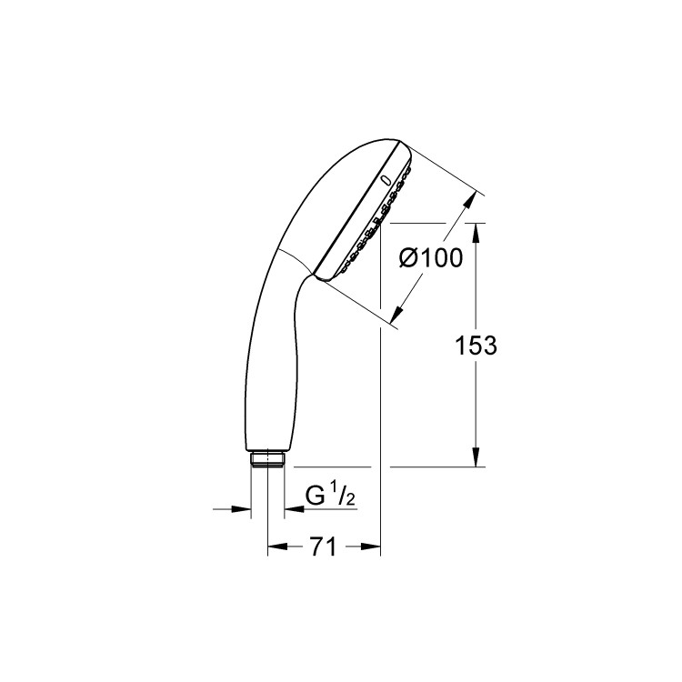 Grohe Tempesta 100 Shower Handset
