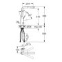 Essence Single Lever Pull Out Spray Kitchen Mixer Tap - Polished Nickel