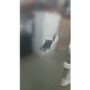 GRADE A2 - Siemens KI81RAF30G iQ500 A++ 177cm In-column Integrated Fridge Door-on-door