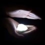 Pack of 2 Heart Handbag Lights