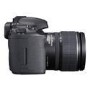Canon EOS 7D Digital SLR Camera with 15-85mm 