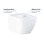 Wall Hung Rimless Toilet with Soft Close Seat - Grohe Euro