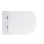 Wall Hung Rimless Toilet with Soft Close Seat - Grohe Euro