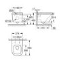 Wall Hung Rimless Toilet with Soft Close Seat - Grohe Euro