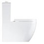 GRADE A1 - Close Coupled Rimless Toilet with Soft Close Seat - Grohe Euro