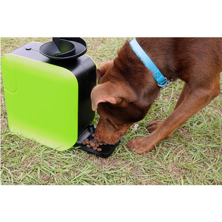GRADE A1 - electriQ Automatic Dog Ball Launcher with Treat Dispenser