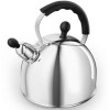 Morphy Richards 46575 Accent Stainless Steel 2.5L Whistling Kettle