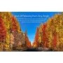 LG 49SK8000PLB 49" 4K Ultra HD Smart HDR Dolby Atmos LED TV