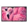 50 Inch Black Commercial TV Full HD 250 cd/m2 VESA Wall Mount 200 x 200mm