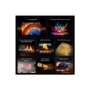 TCL 75C8L-UK 75" 4K HDR Smart Google TV with Dolby Atmos