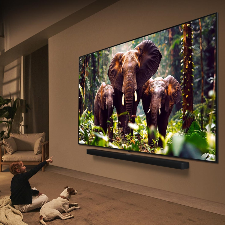 LG QNED85A 55 inch MiniLED 4k Smart TV