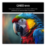 LG QNED85A 65 inch MiniLED 4k Smart TV