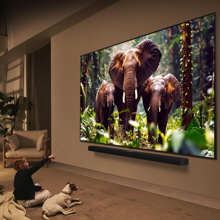LG QNED85A 65 inch MiniLED 4k Smart TV