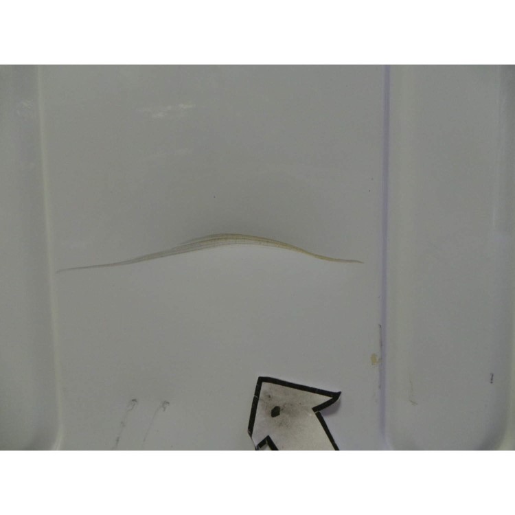 GRADE A3 - Heavy cosmetic damage - Hotpoint BHWM129 6.5kg 1200rpm Integrated Washing Machine