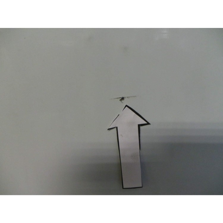 GRADE A3  - Electrolux 90cm Splashback