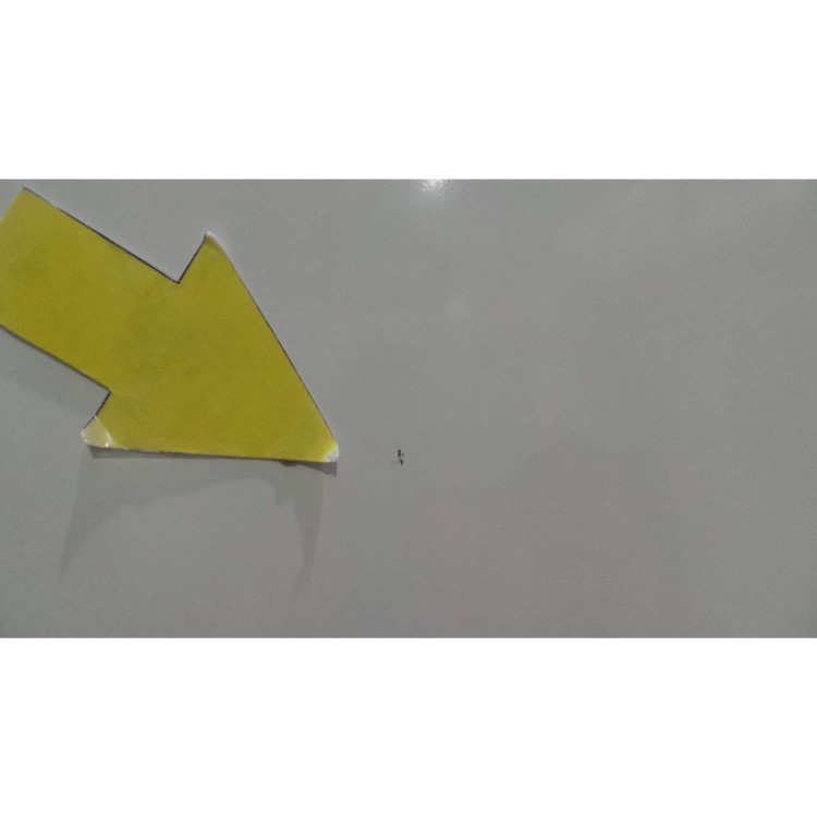 GRADE A3 - Heavy cosmetic damage - Bosch KGV33VW32G 176cm 286 Litre Freestanding Fridge Freezer White