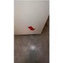 GRADE A3 - Servis R60170C 61cm Wide Retro Style Freestanding Fridge - Cream